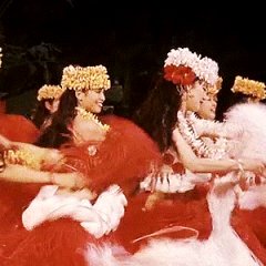Hula Girls Japanese Movie photo