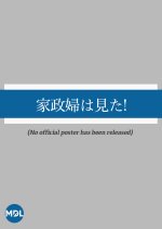 Kaseifu wa Mita! Japanese Drama(1997) photo