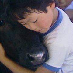 Yume wa Ushi no Oishasan Japanese Movie photo