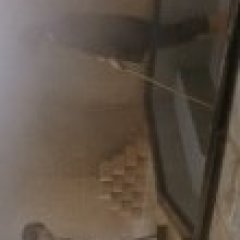 A Heartful of Love Japanese Movie photo