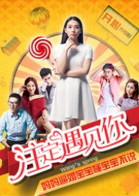 Wang's Spring (2016) poster