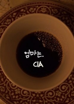 My Mom Is.. CIA (2015) poster