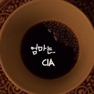 My Mom Is.. CIA (2015)