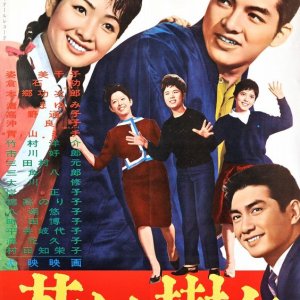Young Tree (1963)