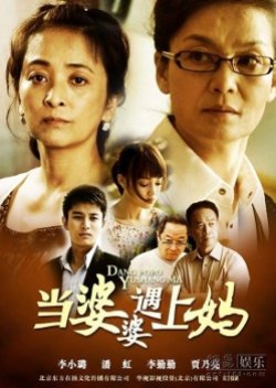 My Mother and My Mother-in-Law (2011) poster
