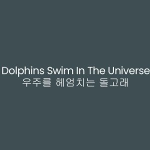 Dolphins Swim In The Universe (2010)