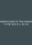 Dolphins Swim in the Universe