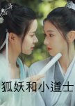 The Fox Spirit and the Little Priest chinese drama review
