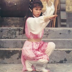 The Legend of the Condor Heroes Hong Kong Drama photo