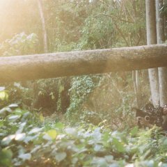 Underground Cemetery Thai Movie photo