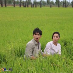 Patihan Rak Mae Phosop Thai Drama photo