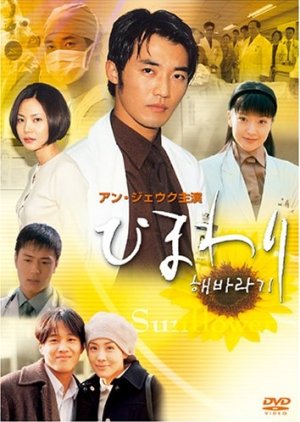 Sunflower 1998 Mydramalist
