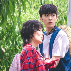 Once Upon a Small Town Korean Drama photo