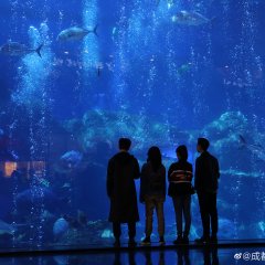 Cheng Du Stroll Chinese Movie photo