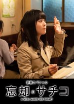 Boukyaku no Sachiko: New Years Special Japanese Drama photo