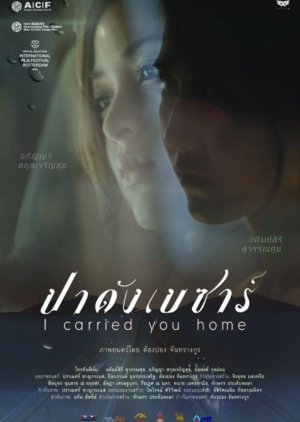 I Carried You Home (2011) poster