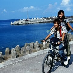 The Road in the Air Taiwanese Movie photo