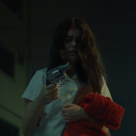 The Girl and the Gun (2019)