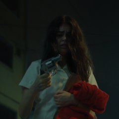 The Girl and the Gun Philippines Movie photo