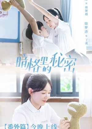 Our secret chinese drama