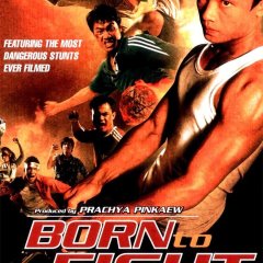 Born to Fight Thai Movie(2004) photo