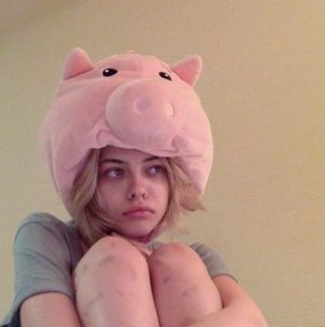  animals 4ever