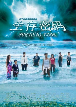 Survival Code () poster