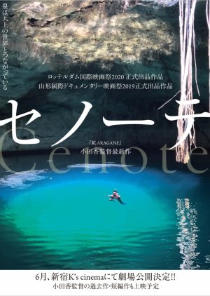 Cenote (2019) poster