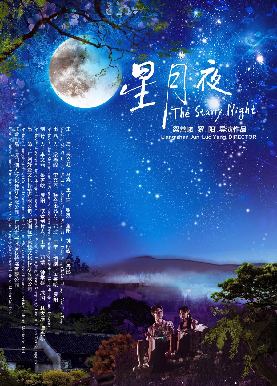 starry starry night movie poster