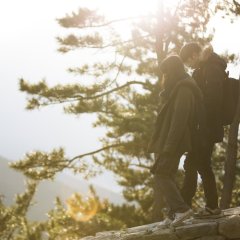 A Stray Goat Korean Movie photo