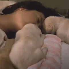 Quill Japanese Movie photo