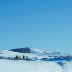 Fly Close to the Ground Chinese TV Program photo