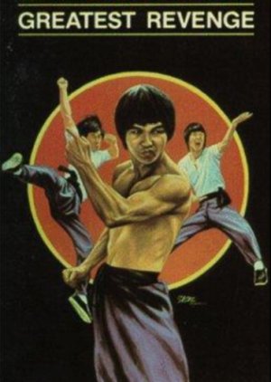 Way of the Dragon 2 (1980) poster