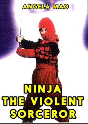 Ninja, The Violent Sorcerer (1982) poster