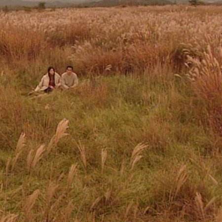 Kamisama no Boto  (2013)