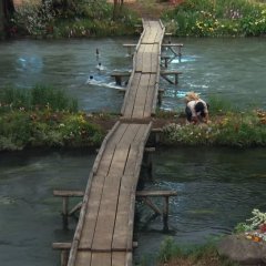 Dreams Japanese Movie photo