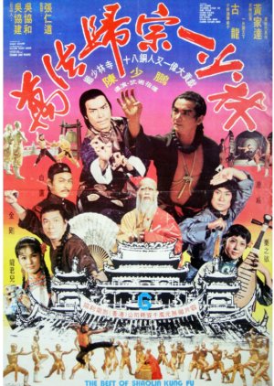 The Best of Shaolin Kung Fu (1976) poster