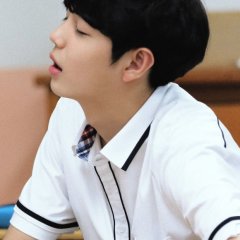 The Dolphin in the Little Mermaid Korean Drama photo