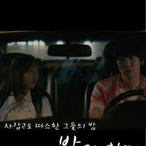 Night with a Perfect Stranger (2015)