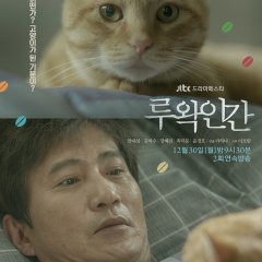 Drama Festa: Luwak Human Korean Drama photo