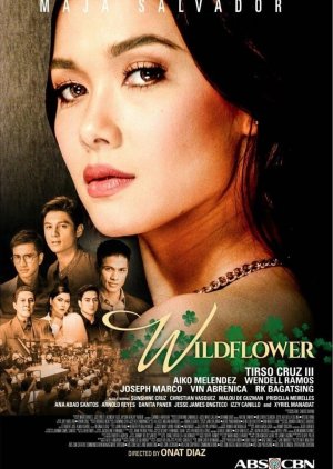 Wildflower (2017) poster