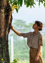 Mango no Ki no Shita de Japanese Drama photo