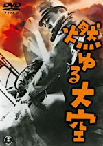 The Burning Sky Japanese Movie photo