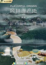 Flavorful Origins: Guiyang Chinese TV Program photo