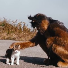 Oliver na Inu, (Gosh!!) Konoyarou (2021) photo