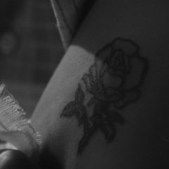 Taiyou To Bara Japanese Movie photo