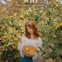 W.H.Y. Korean Drama photo