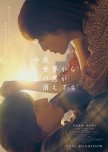 Even if This Love Disappears From the World Tonight japanese drama review