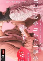 Falling in Love Like a Romantic Drama: Kiss Me Like a Princess Japanese TV Program photo