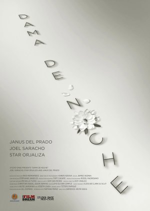 Dama De Noche (2020) poster